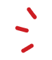 decotenchudao1