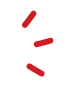 decotenchudao2